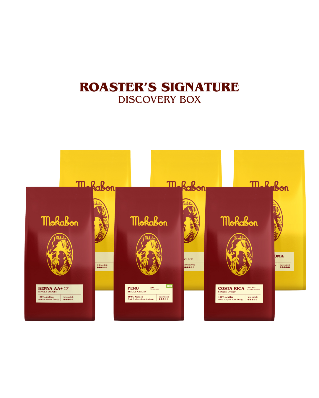 Discovery Box (Large)