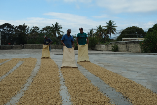 Dominican Republic - Finca La Colonia