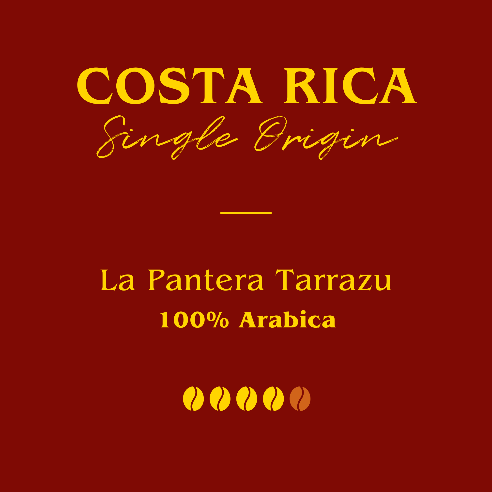Costa Rica - La Pantera Tarrazu